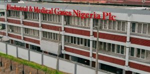 Industrial & Medical Gases declares N0.50 final dividend, sets payment date 