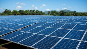 China solar panel exports to Africa surge 83% year-on-year amid global demand
