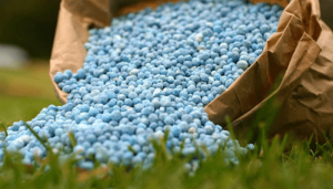 Fertilizer exports hit N1.37 trillion in Q1 2026, emerging among Nigeria’s biggest FX earners