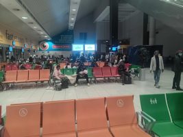 Hundreds of Nigerians are stranded without shelter, food in South Africa – NICASA